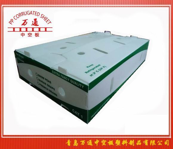 <strong>藍(lán)莓水果包裝箱</strong>